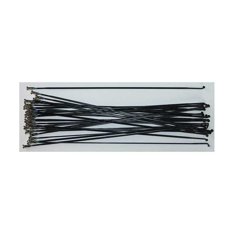 KIT RAIOS(20)FR. R501-30S/L PT EWHSPOKE2SA1