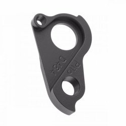 Patte de dérailleur PILO D484 Canyon